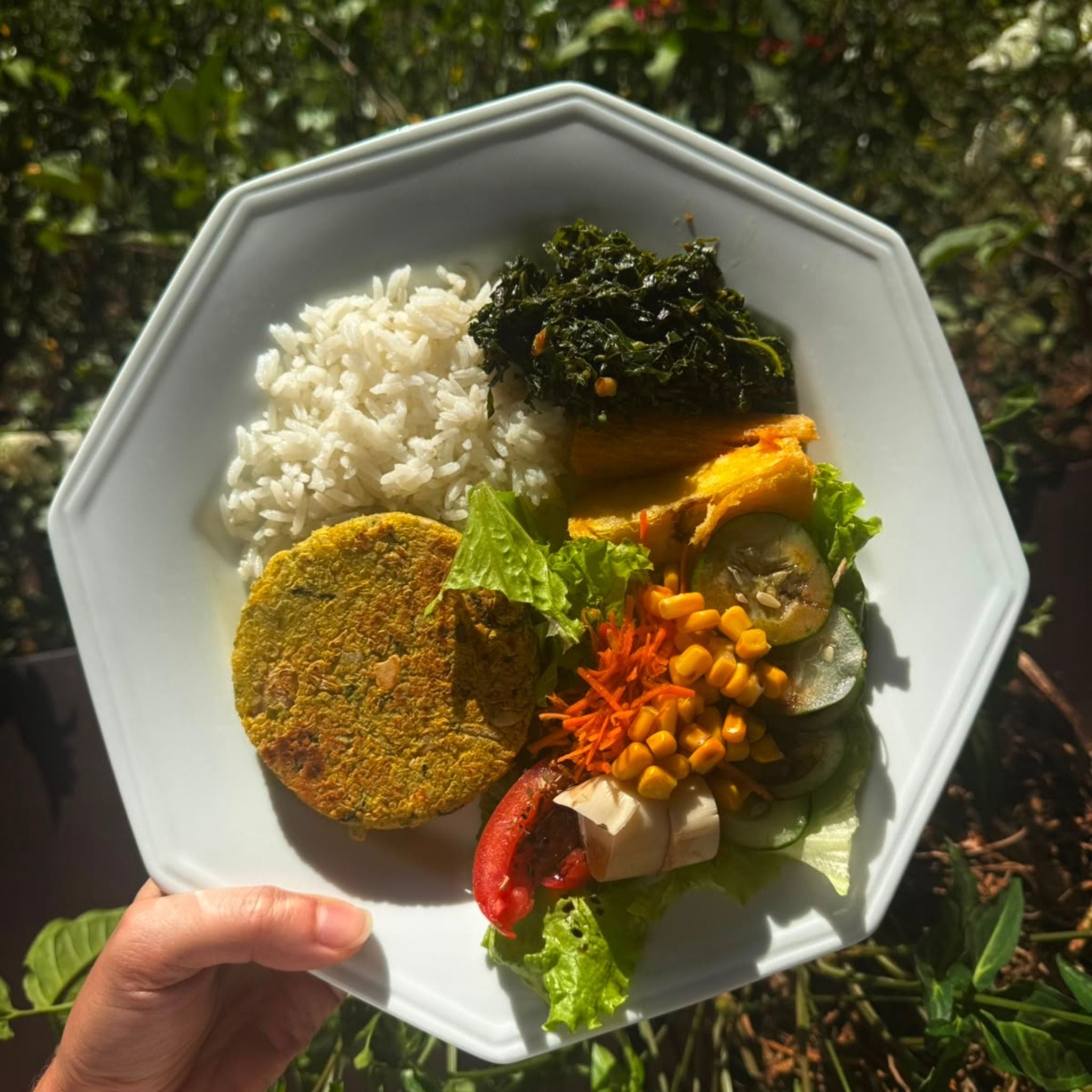 Sol | Hambúrguer Vegano de Feijão Branco e Quinoa (2 unidades)